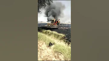 عباس السحاگی ما ودی اشعیش بعد 