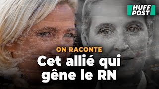 Comment l'AfD devient le boulet du RN dans la campagne européenne