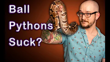 Can I own a ball python in Connecticut?