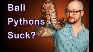 DO NOT Get A Pet Ball Python! | 3 Reasons Why Ball Pythons Are Not Good For Beginners