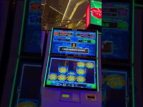 ¡Tenemos todo lo que buscas! | Dubai Palace Casino