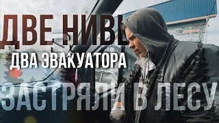 ДВЕ нивы и ДВА эвакуатора застряли в лесу ГАЗОН вытаскивает