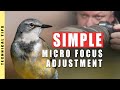 SIMPLE MICRO FOCUS ADJUSTMENT FOR SHARPER DSLR IMAGES (CANON EXAMPLE)