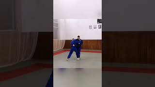 sukui nage (te guruma) #judo