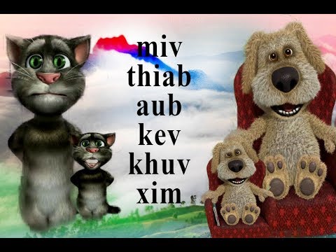 Video: Miv, Miv, Thiab Toxoplasmosis Txaus Ntshai