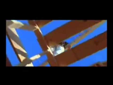 ما هو التسويق الشبكي