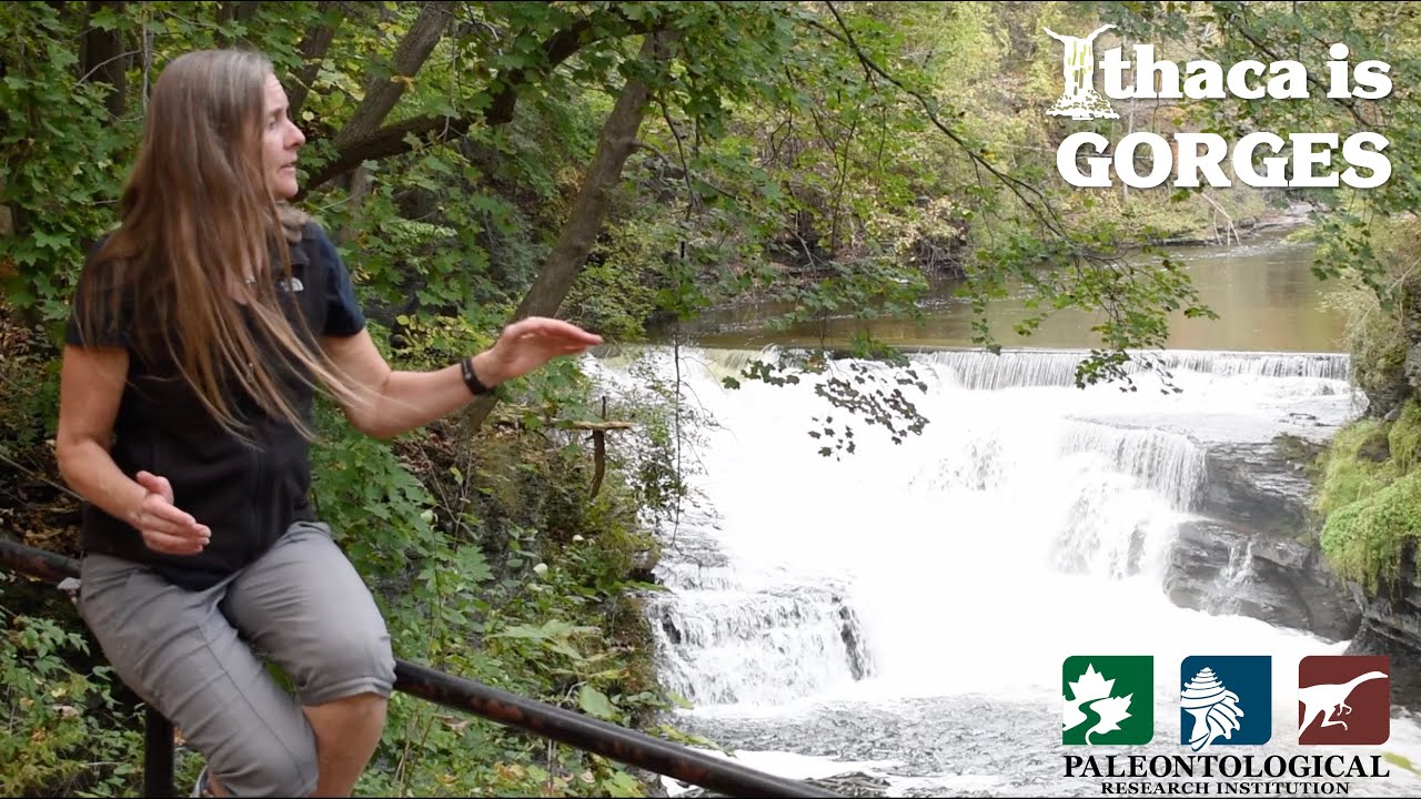 Ithaca is Fall Creek YouTube
