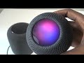 Apple Homepod Vs  Homepod Mini