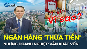 Lãi suất giảm, ngân hàng "thừa tiền" nhưng doanh nghiệp vẫn khát vốn, vì sao? | CafeLand