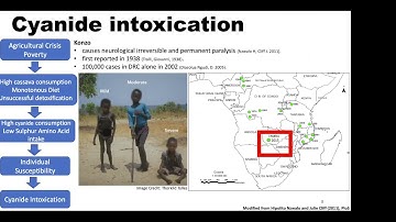 Alex Ogbonna: Genetic Architecture and Gene Mapping of Cyanogenic Glucoside in Cassava