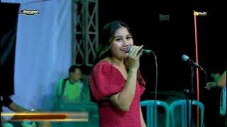 TEMAN BIASA - AINI ZAHRA - NAGATAMA MUSIC - BUSRO AUDIO TERBARU 2025