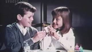 Thing Maker Creepy Crawlers Mattel Toys Net Worth