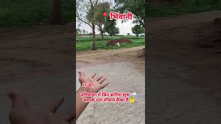 हरियाणा में शुरू हुई बारिश 🌧️🌧️#HaryanaWeather#HaryanaMausam#WeatherUpdateHaryana#HaryanaRain