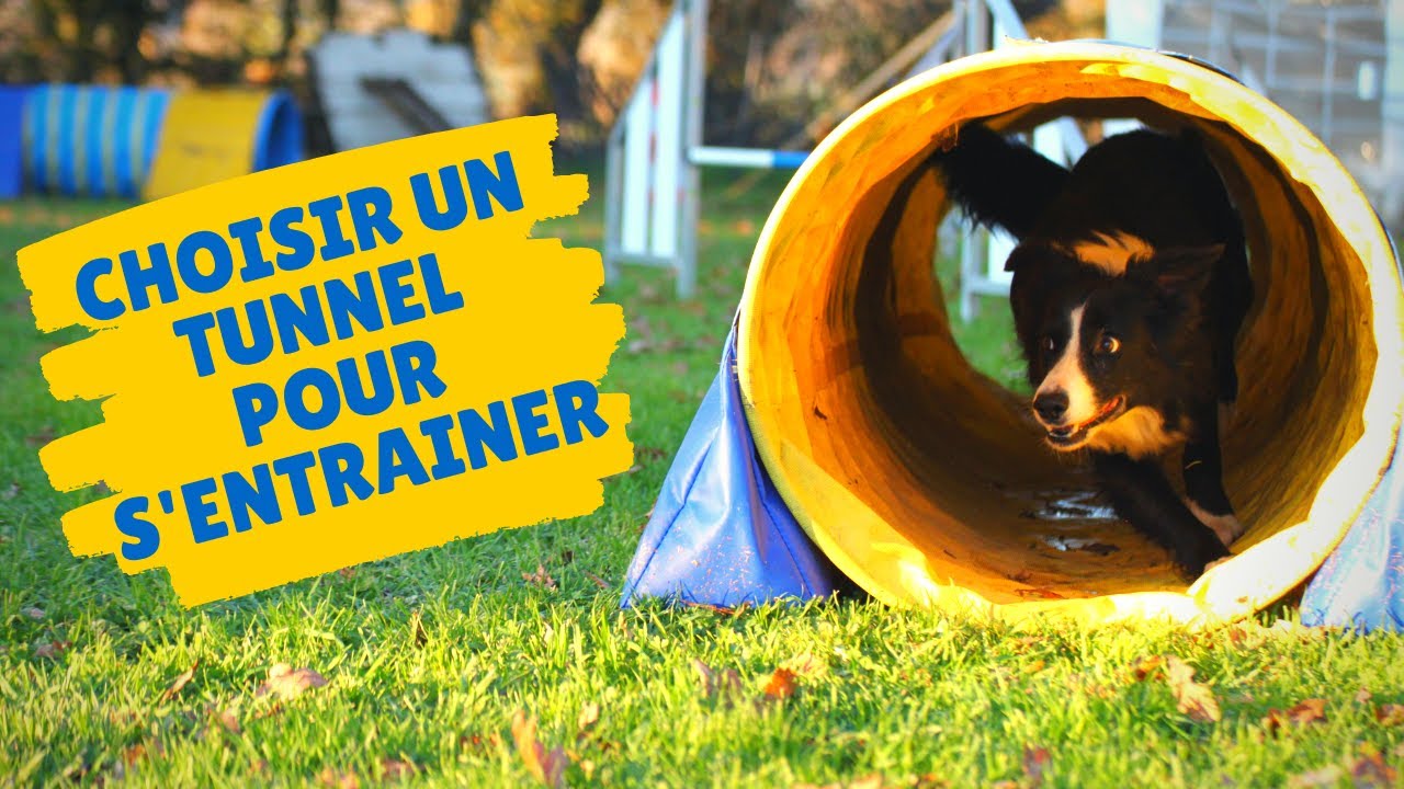 MATERIEL AGILITY : Quel tunnel choisir ?
