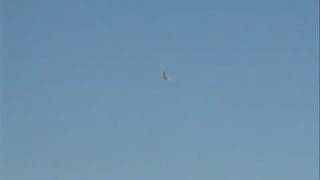 Super Cub flight with ailerons