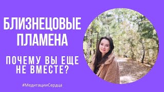 💜БЛИЗНЕЦОВЫЕ ПЛАМЕНА: ПОЧЕМУ ВЫ ЕЩЕ НЕ ВМЕСТЕ? Как перестать спасать всех вокруг и жить своей жизнью