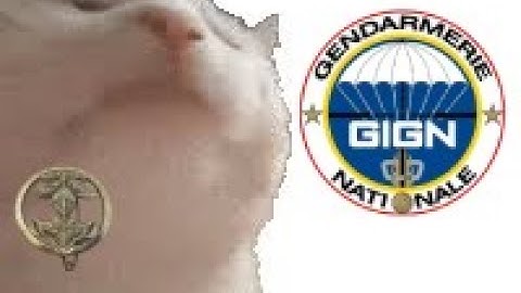 literally everyone when they hear gign theme mw3