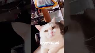 😻😁