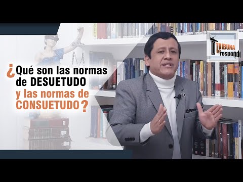 Video: ¿Son obligatorias las normas de la haya?