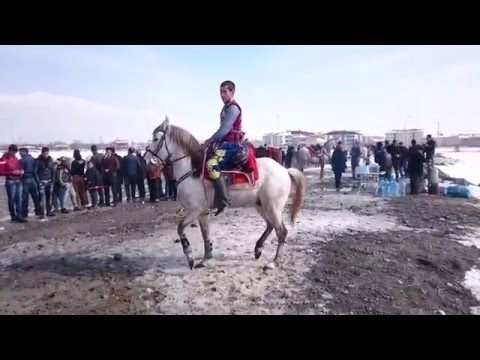 Oynayan At Zurna  (horse play)