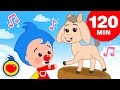 Sal De Ahí Chivita Chivita  Y Las Mejores Canciones Infantiles (120 Min) ♫ Plim Plim