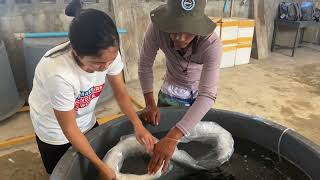 Training Course on Marine Fish Hatchery Operations for BFAR