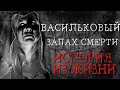 Васильковый запах смерти. История из жизни