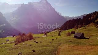 istockphoto 1095184482 640 adpp is