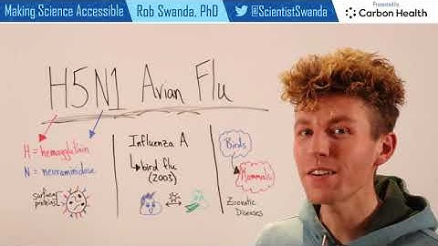 What is H5N1 Bird Flu?