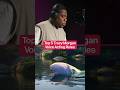 Characters Voiced by Tracy Morgan!