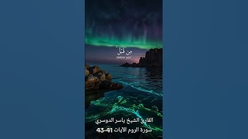 القارئ الشيخ ياسر الدوسري سورة الروم الآيات 41-43
