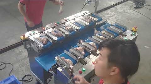 12 Head Linear Combination Weigher for Meat/ Vegetable/ Fruits Weighing