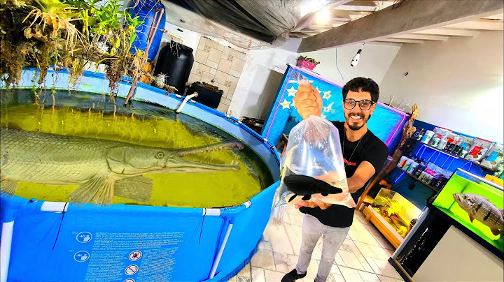 I BOUGHT MY NEW DINOSAUR MONSTER FISH IN THE SECRET STORE 👀