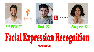 Facial Expression Recognition Using TensorFlow & Keras (Demo Video)