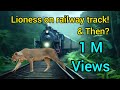 Once a lioness came on railway tracks then see how forest staff saved girforest wildlife