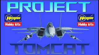 Project Tomcat - Hasegawa Part 1