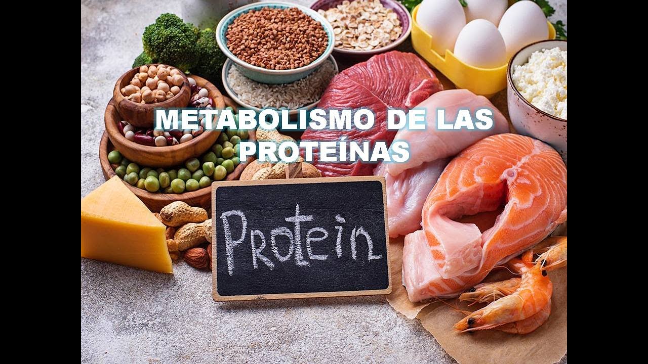 Cual es la mejor marca de proteinas