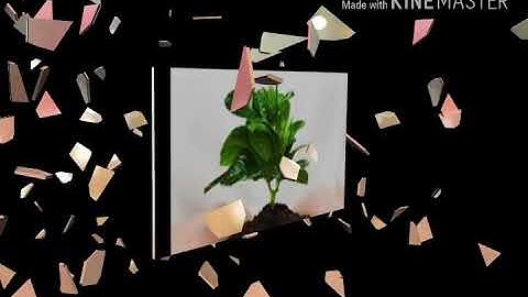 30 câu nói thâm thúy của người Do Thái