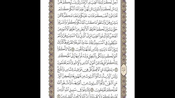 الوجه 29 من القرآن مكرر ١٠ مرات مع الآيات لتسهيل الحفظ | سورة البقرة | الشيخ خليفة الطنيجي