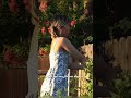 My garden, cozy home - I wish I could fly in our garden