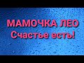 Мамочка Лео/Счастье есть/Обзор влога.