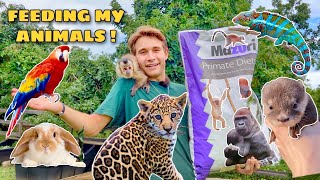 FEEDING ALL MY BACKYARD ANIMALS !