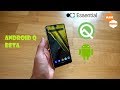 Install Android Q Beta Essential Phone PH-1