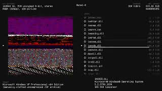 Windows XP x64 Binary Waterfall with File Listing
