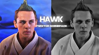 Eli Moskowitz Hawk 4K 60Fps Twixtor Scene Pack