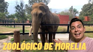 ZOOLÓGICO de MORELIA 😱