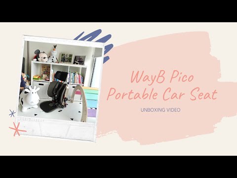 WayB Pico Unboxing Video