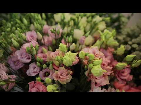 Video: Vysoké Záhradné Kvety (42 Fotografií): Názvy Vytrvalých Vysokých Rastlín Pre Letné Chaty, Ružové A Modré Kvety. Ako Ich Zviazať?
