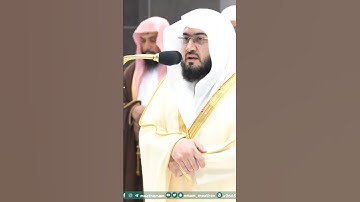 سورة قريش - تلاوة الشيخ #بندر_بليلة