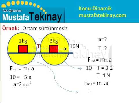 AYT Dinamik 1